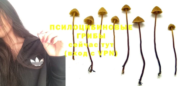 МДПВ Белокуриха