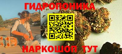 spice Дубна