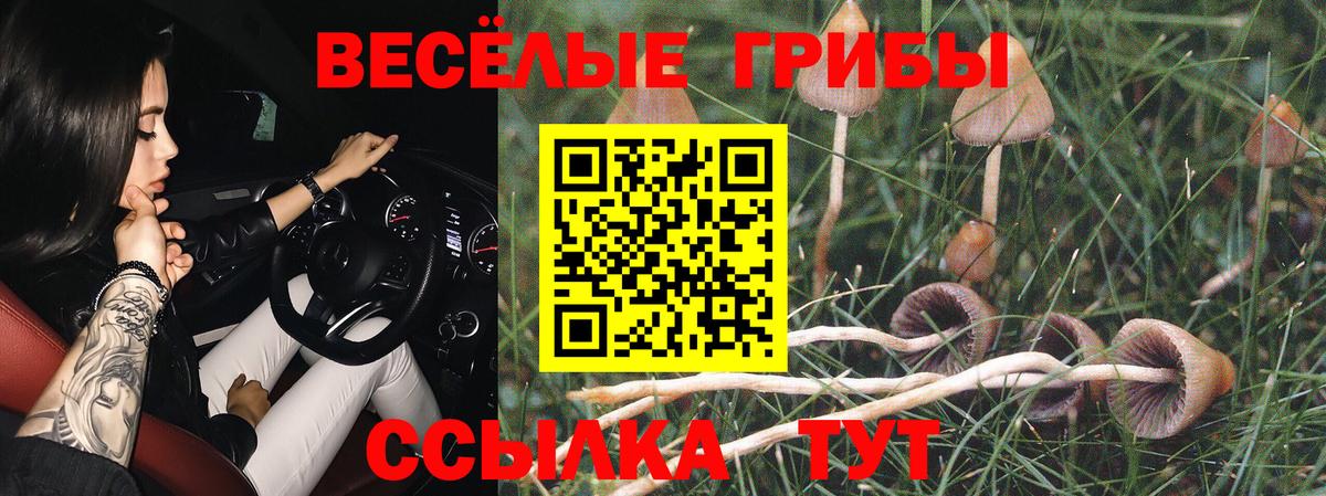 Псилоцибиновые грибы MAGIC MUSHROOMS  Вход с VPN  Малоярославец 